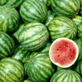250 Tons of Watermelon Exported to Qatar