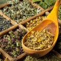 Iran&#039;s Herbal Exports Earn $91m