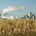 Brazil Launches Corn-Based Ethanol Plant
