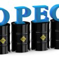 OPEC Forecasts Lower 2019 Crude Oil Demand