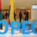 OPEC Output Falls From Record High