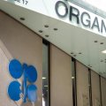 OPEC Compliance Marred by  Iraq, UAE 