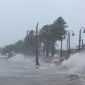 Oil Weakens on Irma Fears