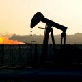 Crude Steady on OPEC Cuts, Strong Demand