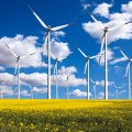 UAE Plans $163b Investment in Renewables