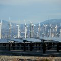 US Renewable Industry Pleased by Tax Credits