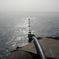 The Persian Gulf littoral states satisfy the lion's share of their needs for drinking water from marine resources.