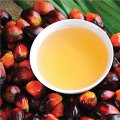 Rise in Palm  Oil Imports 