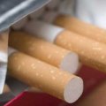 Cigarette Production Up 50% Last Year