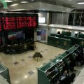TEDPIX, IFX Reap Strong Gains in Weekly Trade