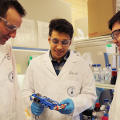 Bioprinter Applied to Deep Skin Wound Repair