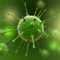 Health Ministry on Track to Eliminate HBV, HCV