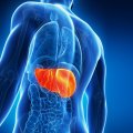 Among patients with chronic HCV infection, approximately one-third progress to cirrhosis, a condition in which the liver does not function properly.