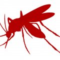 Malaria Cases Decline