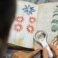 Scholars Question Voynich Manuscript Decoding Methodology 