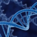 Researchers find a drop in some harmful genetic mutations in longer-lived people.