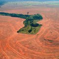 After several years of decline, deforestation in the Amazon appears to be increasing again.