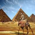 Egypt Anticipates Russia to End Travel Ban