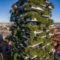 China Plans &quot;Vertical Forests&quot; to Fight Pollution