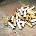 Cigarette filters are designed to trap hundreds of toxic chemicals.