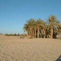 Yazd is among the most vulnerable regions to climate change.