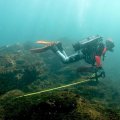 Waters in parts of Shikine Island offer a glimpse of how corals can fare in less alkaline water.