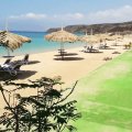 Djibouti President Named World Leader of Tourism