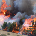 Fire Frequency Up in Protected Areas