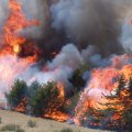 25 Hectares Burn in Gachsaran Wildfire
