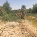 DOE&#039;s Khuzestan Water Approach Triggers Row