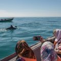 Iran Targets 3m Marine Tourists