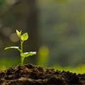 World Underscores  Soil Conservation