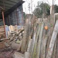 2 Tons of Illegally-Logged Timber Seized