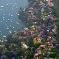 Australia House Prices Fall Further