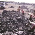 India Coal Import Up 
