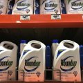 Monsanto Fined in World’s First Roundup Cancer Tria