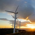 Global Wind Turbine Makers Hit by Subsidy Squeeze
