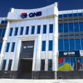 Qatari Banks’ Shares Plummet