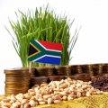 South Africa’s economy is poised for a recovery.