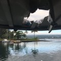 lava bomb crashed through the roof of the boat and into the vessel’s seating area.