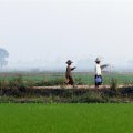 HRW reports that Myanmar’s government and military officials have seized vast swaths of land from farmers.