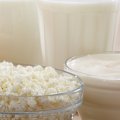 Dairy Exports Exceed $260m in Four Months