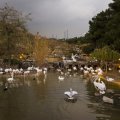 Bird Garden in Lavizan