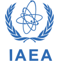 IAEA Chief to Visit Iran Ahead of Deadline for Curbing Inspections 