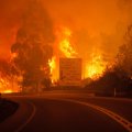 Portugal Forest Fires Kill 62 
