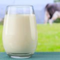 It is crucial to promote milk consumption and increase it to the global standard of 168 kg annually.