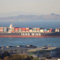 Yang Ming, the world’s ninth largest container shipping line, is a comparatively small player in Iran, calling there just once a week.