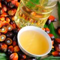 Malaysia to Hold Palm Oil Events in Tehran
